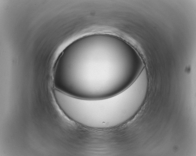 X0000091941520200709051251