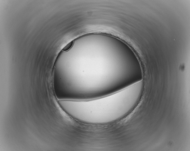 X0000091941521200709051251