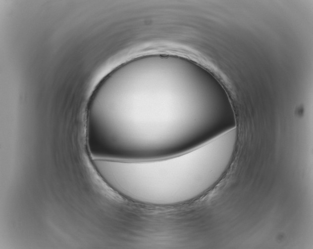 X0000091941522200709051251
