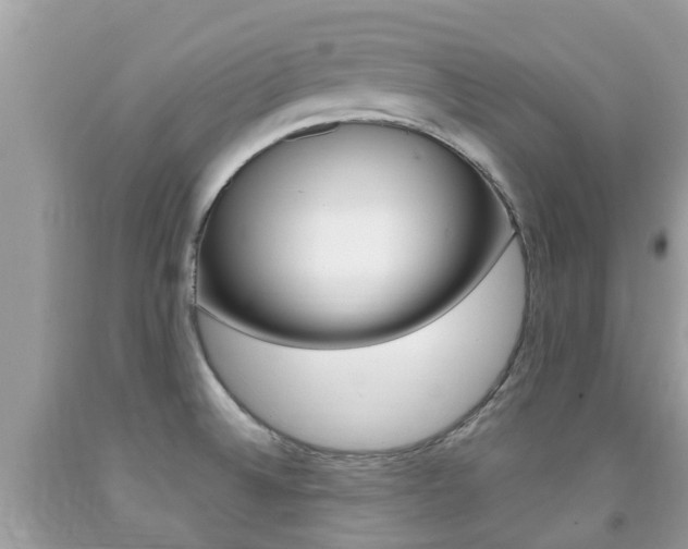 X0000091941524200709051251