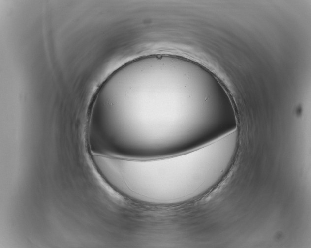 X0000091941525200709051251