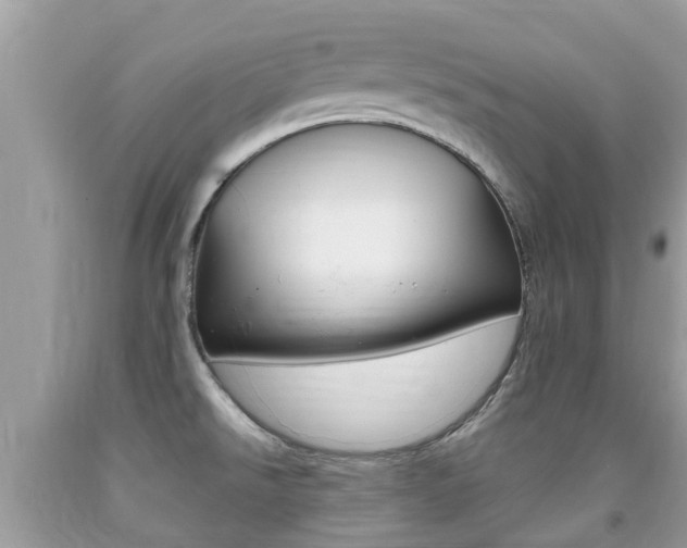 X0000091941526200709051251