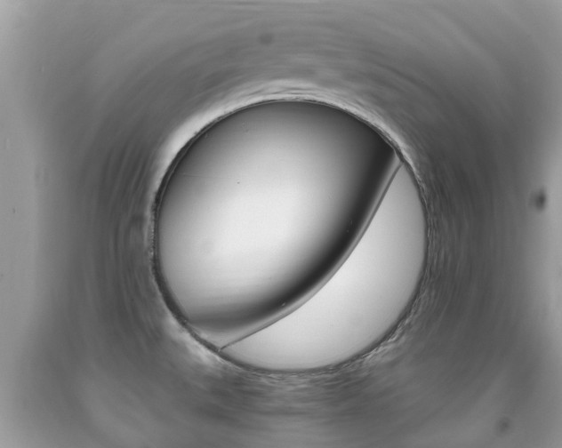 X0000091941527200709051251
