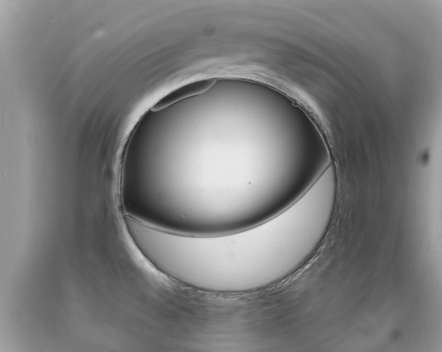 X0000091941528200709051251