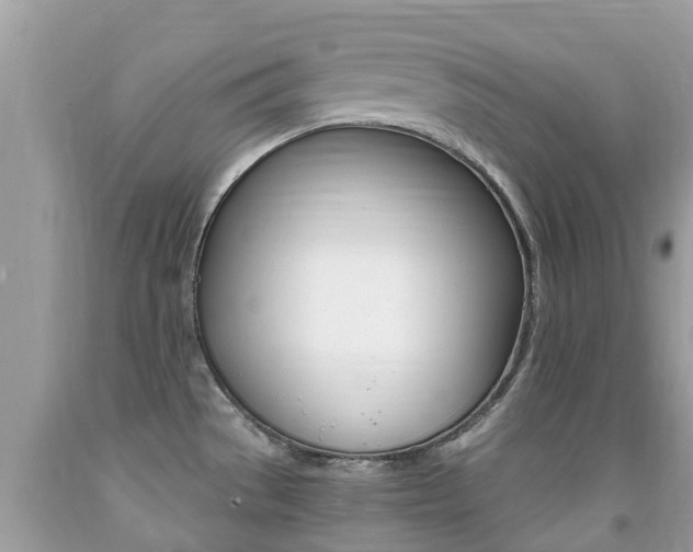 X0000091941529200709051251