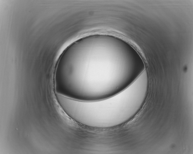 X0000091941530200709051251
