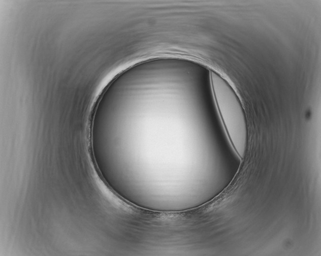 X0000091941531200709051251