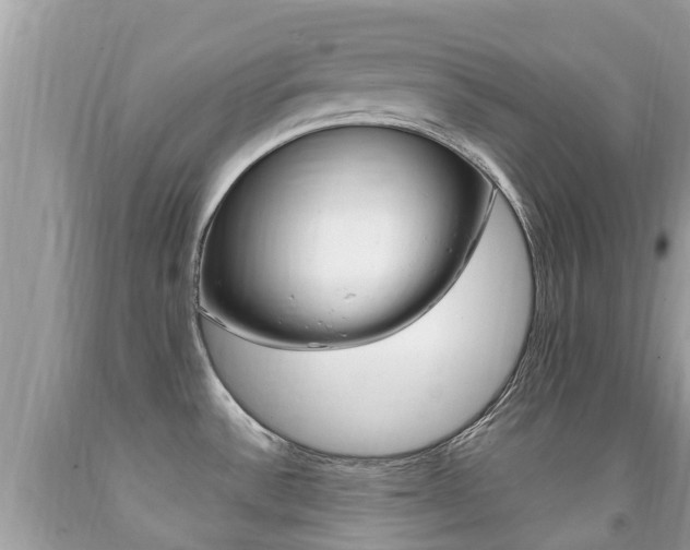 X0000091941532200709051251
