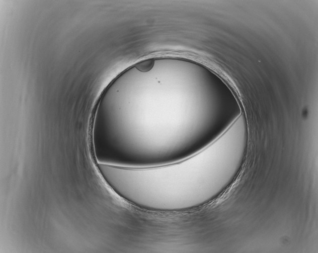 X0000091941533200709051251