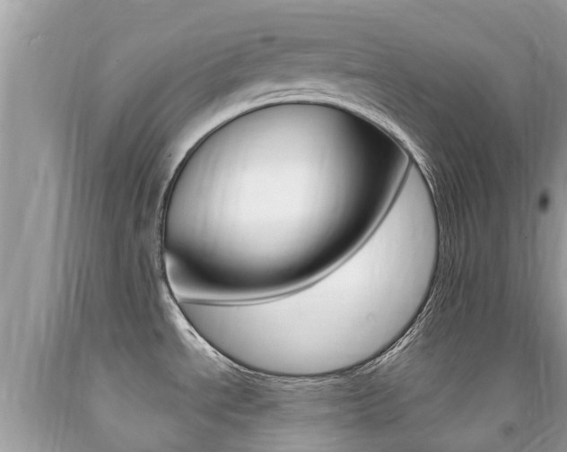X0000091941534200709051251