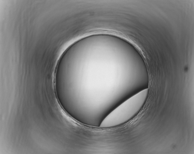 X0000091941535200709051251