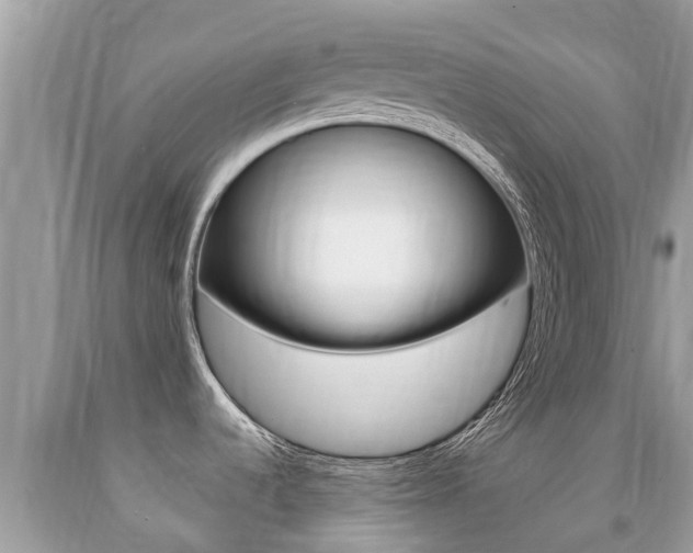 X0000091941536200709051251