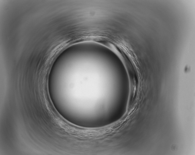 X0000091940001200709051532