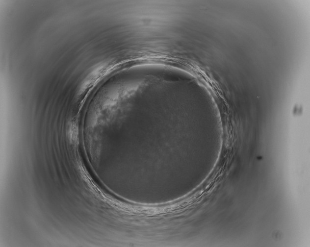 X0000091940002200709051532