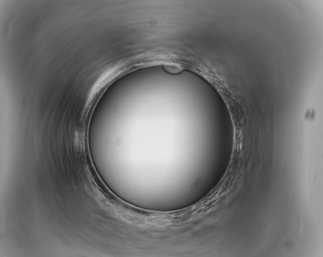 X0000091940004200709051532