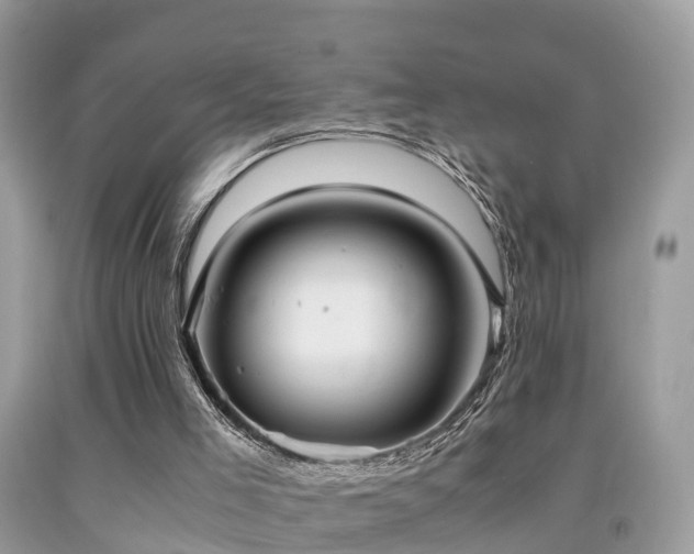 X0000091940005200709051532