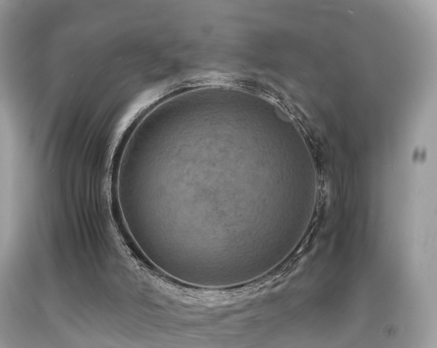 X0000091940006200709051532