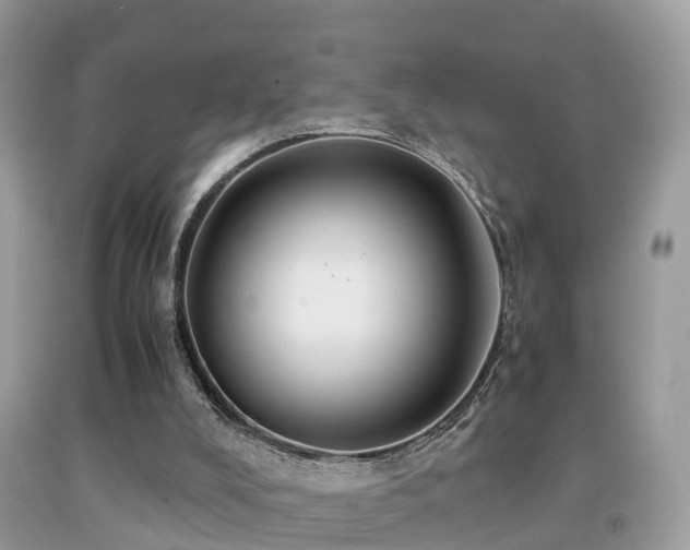 X0000091940008200709051532