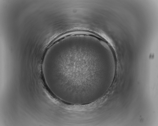 X0000091940009200709051532