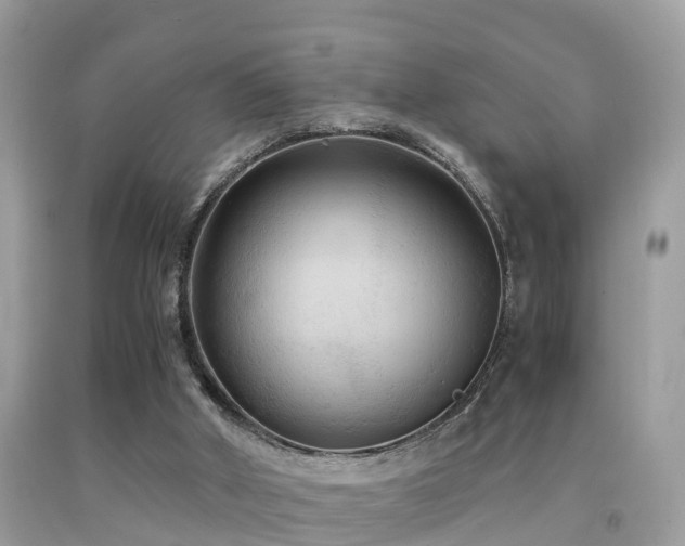 X0000091940010200709051532