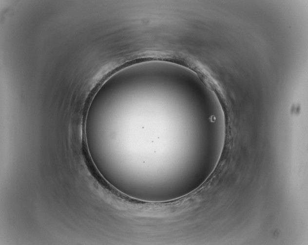 X0000091940011200709051532