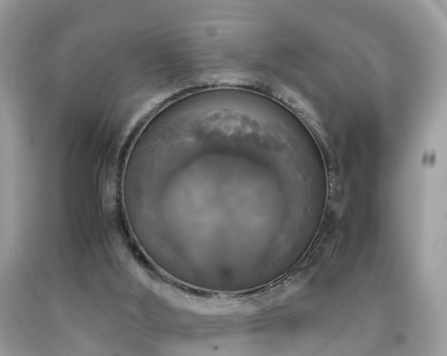 X0000091940012200709051532