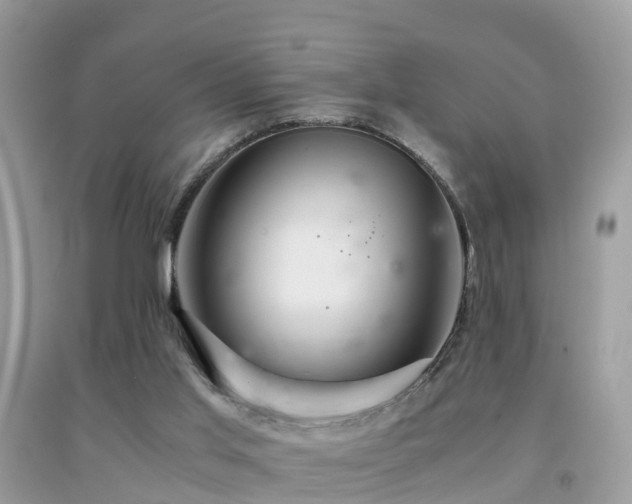 X0000091940013200709051532