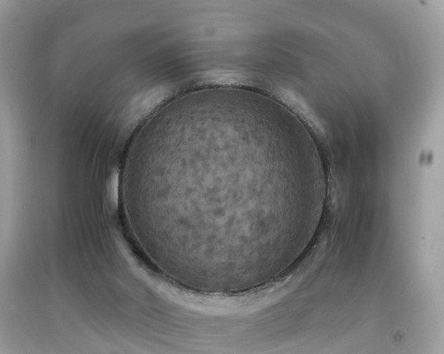 X0000091940014200709051532