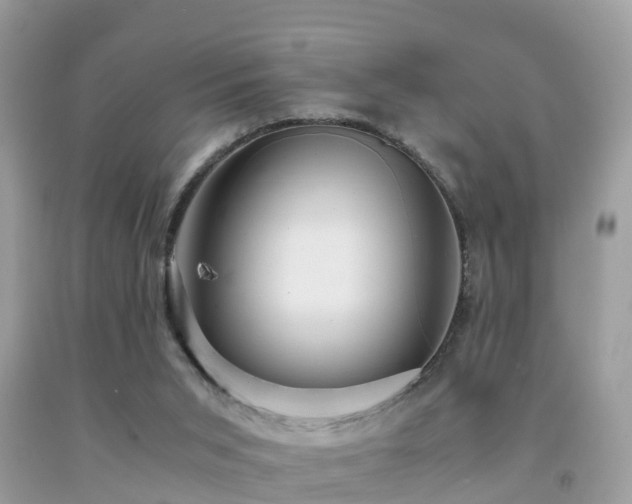 X0000091940015200709051531