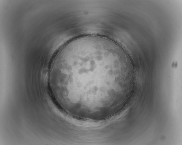 X0000091940016200709051531