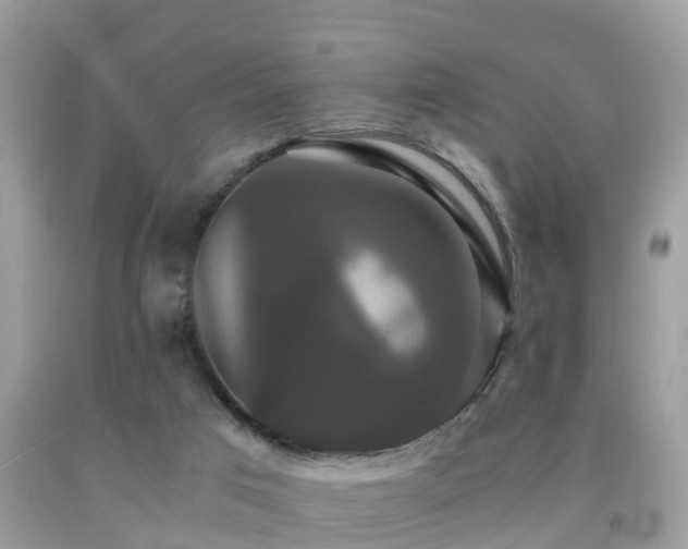 X0000091940017200709051531