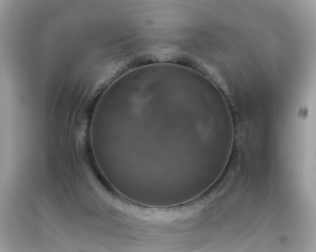 X0000091940018200709051531