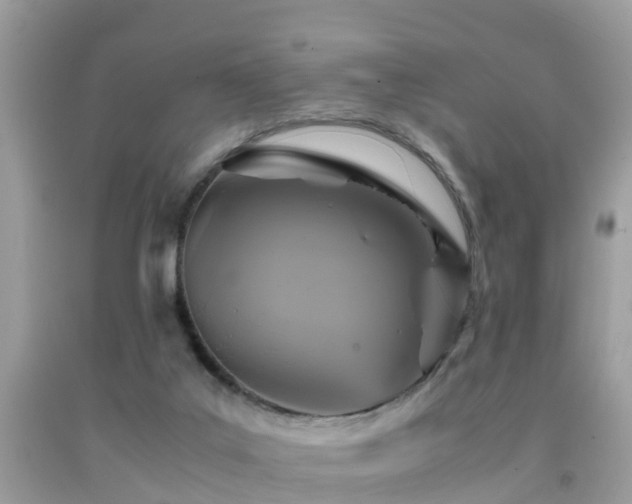 X0000091940019200709051531