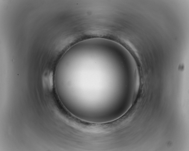 X0000091940020200709051531