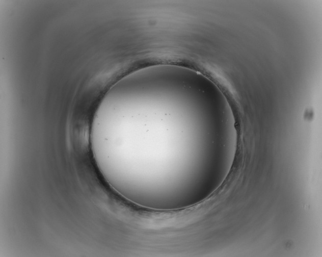 X0000091940021200709051531