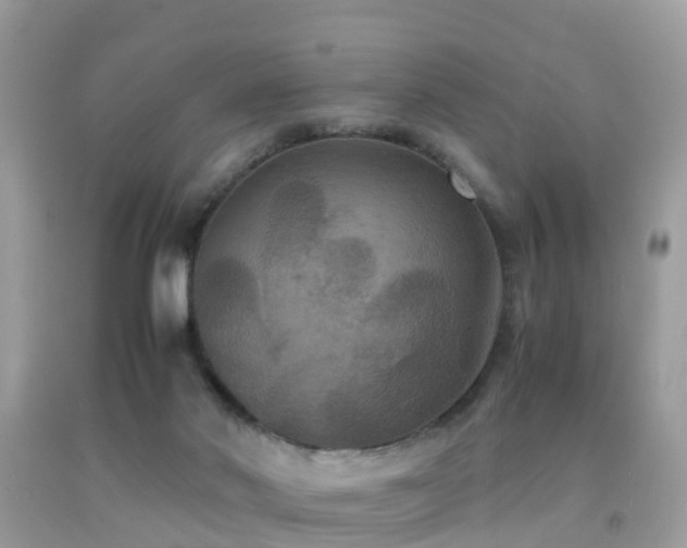 X0000091940022200709051531