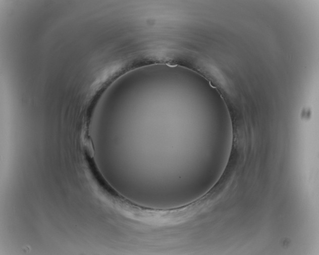 X0000091940023200709051531