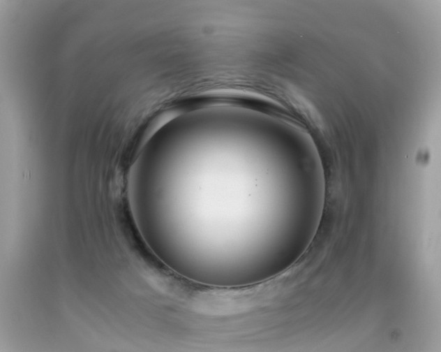 X0000091940025200709051531