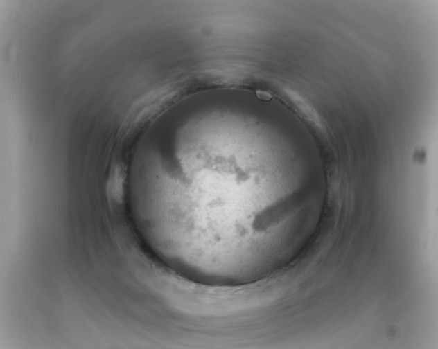 X0000091940026200709051531