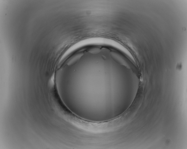 X0000091940027200709051531