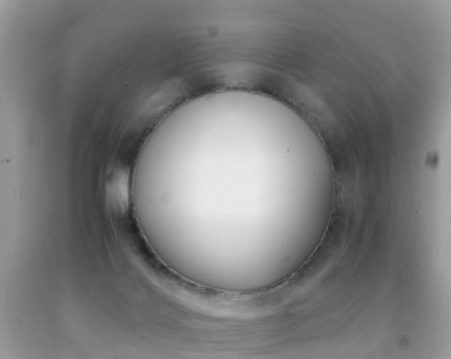 X0000091940028200709051531