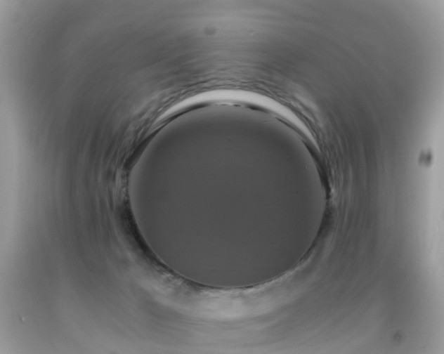 X0000091940029200709051531