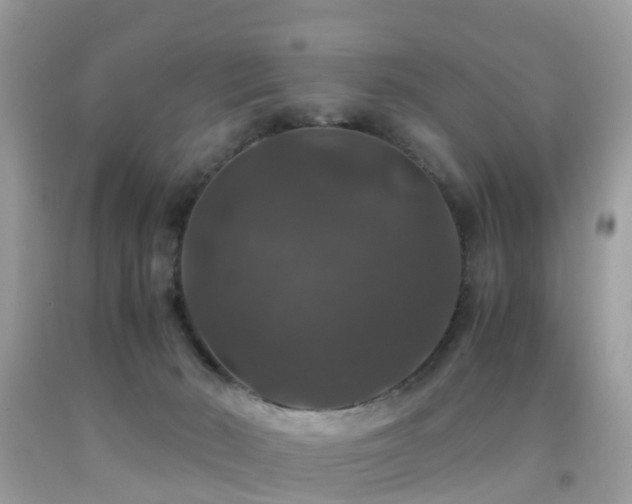 X0000091940030200709051531