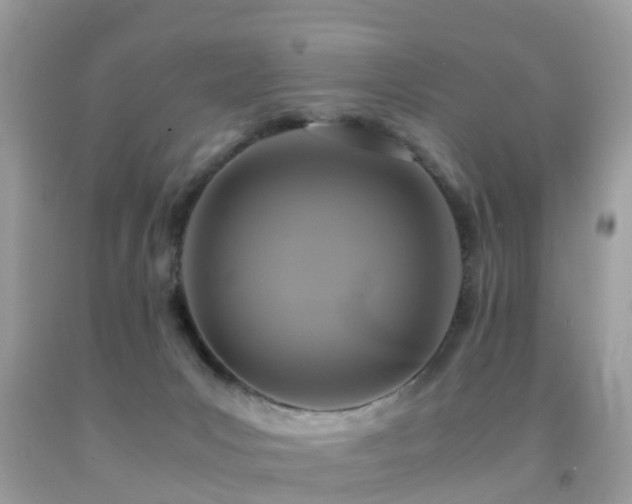 X0000091940031200709051531