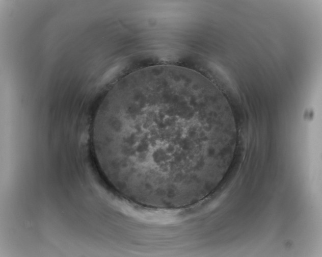 X0000091940032200709051531