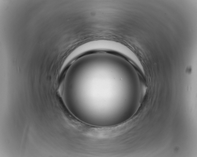 X0000091940033200709051531