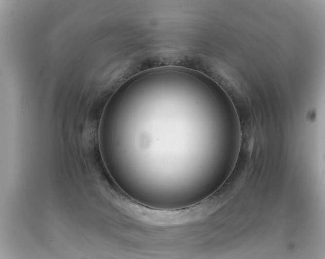 X0000091940034200709051531