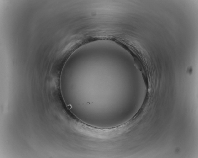 X0000091940035200709051531