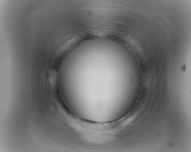 X0000091940036200709051531