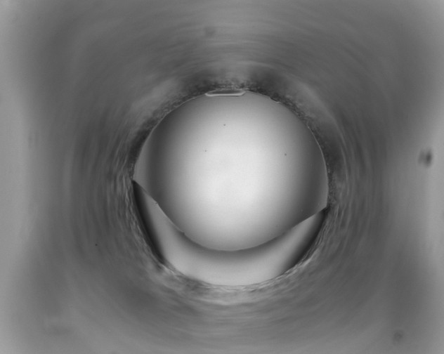 X0000091940037200709051531